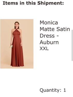 Birdy Grey Monica Halter Maxi Dress in Auburn